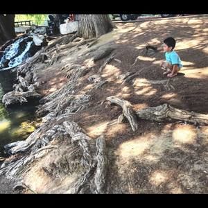 Meet your Posher, Luis damian